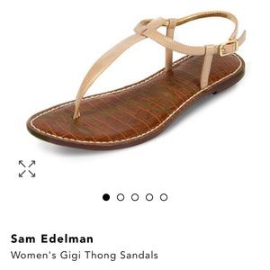 Sam Edelman gigi thong sandals in almond